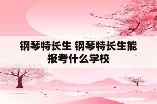 钢琴特长生 钢琴特长生能报考什么学校