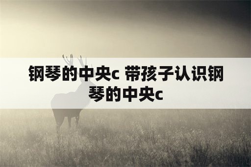 钢琴的中央c 带孩子认识钢琴的中央c