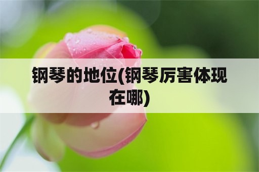 钢琴的地位(钢琴厉害体现在哪)