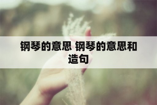 钢琴的意思 钢琴的意思和造句