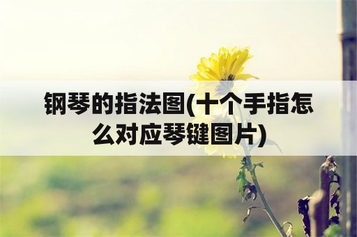 钢琴的指法图(十个手指怎么对应琴键图片)