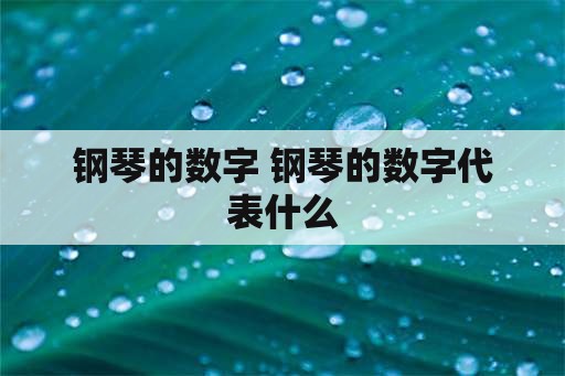 钢琴的数字 钢琴的数字代表什么