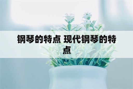 钢琴的特点 现代钢琴的特点