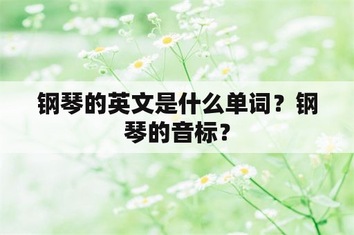 钢琴的英文是什么单词？钢琴的音标？