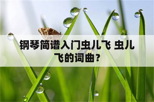 钢琴简谱入门虫儿飞 虫儿飞的词曲？