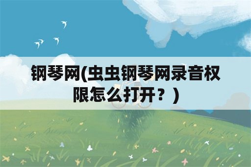 钢琴网(虫虫钢琴网录音权限怎么打开？)