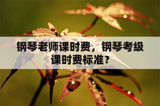 钢琴老师课时费，钢琴考级课时费标准？