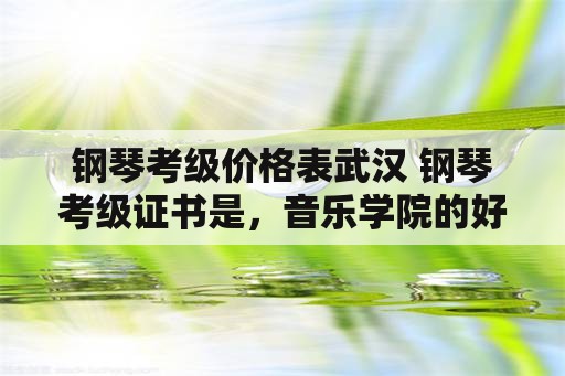 钢琴考级价格表武汉 钢琴考级证书是，音乐学院的好还是音乐协会的好？