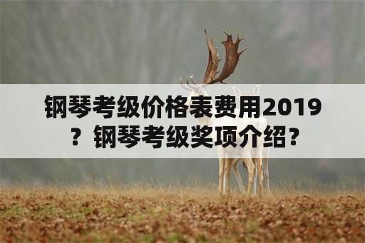 钢琴考级价格表费用2019？钢琴考级奖项介绍？