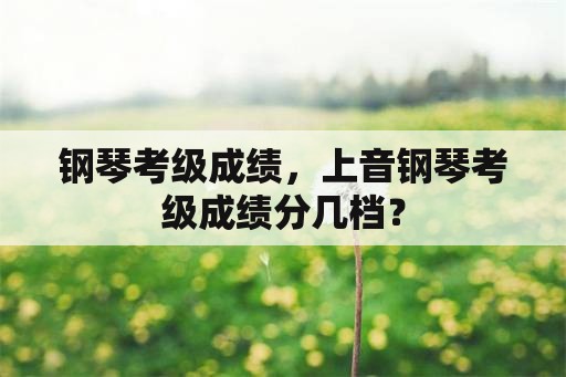 钢琴考级成绩，上音钢琴考级成绩分几档？