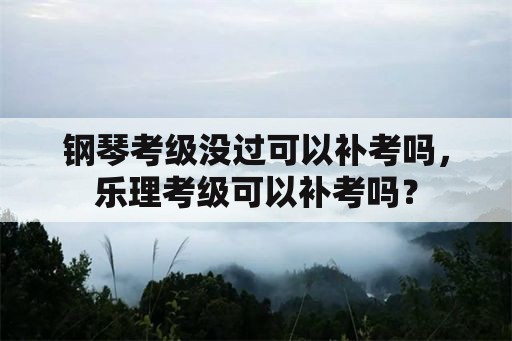 钢琴考级没过可以补考吗，乐理考级可以补考吗？