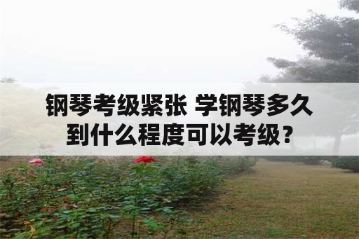 钢琴考级紧张 学钢琴多久到什么程度可以考级？