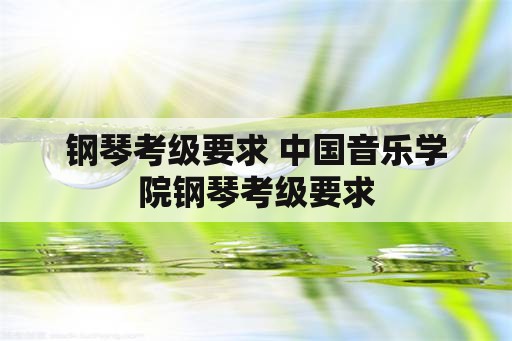 钢琴考级要求 中国音乐学院钢琴考级要求