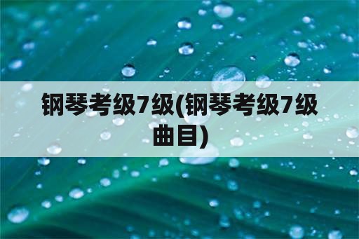 钢琴考级7级(钢琴考级7级曲目)