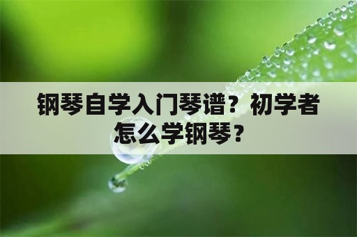 钢琴自学入门琴谱？初学者怎么学钢琴？