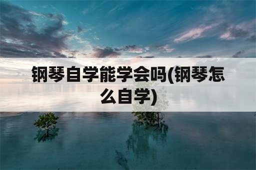 钢琴自学能学会吗(钢琴怎么自学)