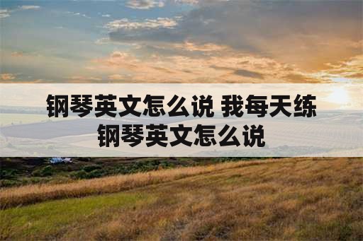 钢琴英文怎么说 我每天练钢琴英文怎么说