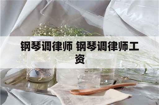 钢琴调律师 钢琴调律师工资