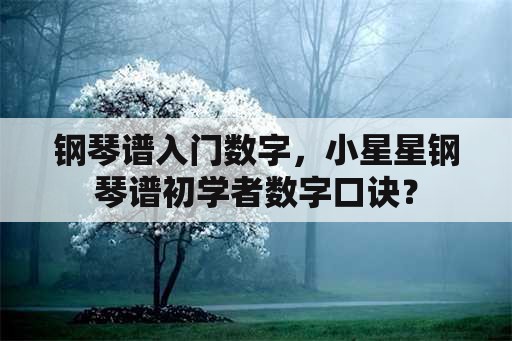 钢琴谱入门数字，小星星钢琴谱初学者数字口诀？