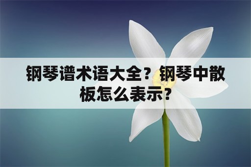 钢琴谱术语大全？钢琴中散板怎么表示？