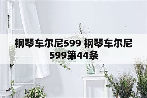 钢琴车尔尼599 钢琴车尔尼599第44条