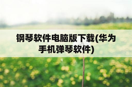 钢琴软件电脑版下载(华为手机弹琴软件)