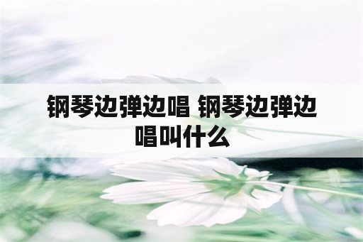 钢琴边弹边唱 钢琴边弹边唱叫什么