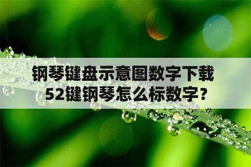 钢琴键盘示意图数字下载 52键钢琴怎么标数字？