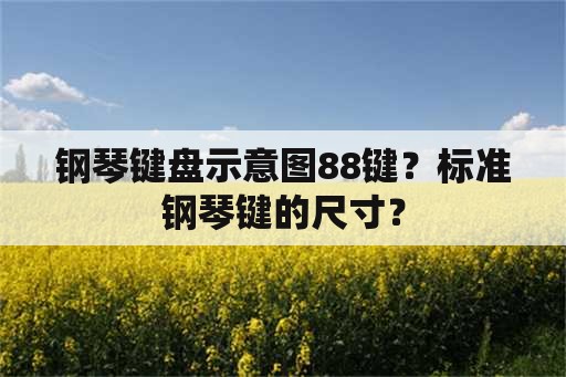 钢琴键盘示意图88键？标准钢琴键的尺寸？