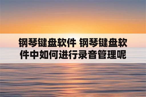 钢琴键盘软件 钢琴键盘软件中如何进行录音管理呢