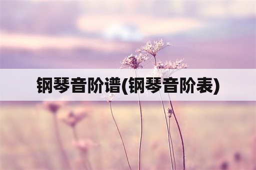 钢琴音阶谱(钢琴音阶表)