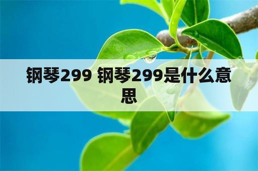 钢琴299 钢琴299是什么意思