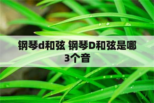 钢琴d和弦 钢琴D和弦是哪3个音