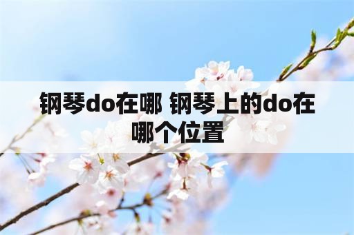 钢琴do在哪 钢琴上的do在哪个位置