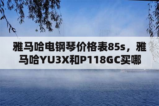 雅马哈电钢琴价格表85s，雅马哈YU3X和P118GC买哪个好？