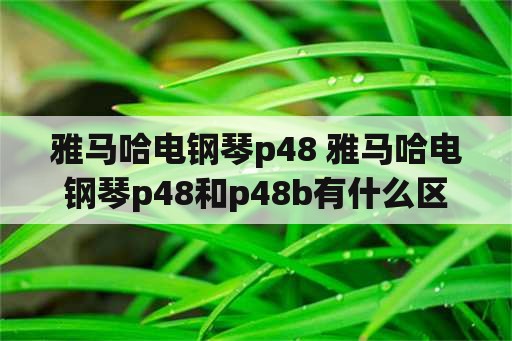 雅马哈电钢琴p48 雅马哈电钢琴p48和p48b有什么区别