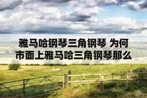 雅马哈钢琴三角钢琴 为何市面上雅马哈三角钢琴那么多？