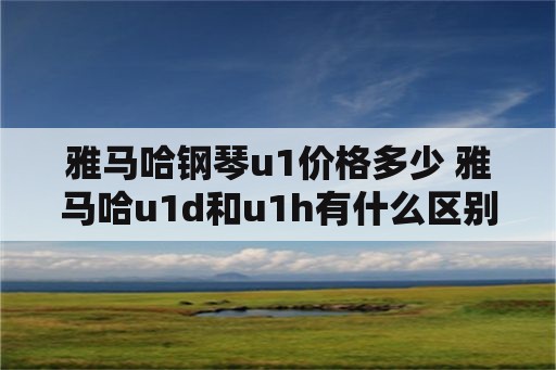 雅马哈钢琴u1价格多少 雅马哈u1d和u1h有什么区别吗？