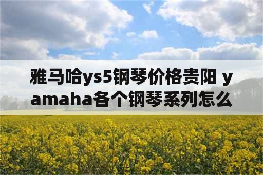 雅马哈ys5钢琴价格贵阳 yamaha各个钢琴系列怎么选？