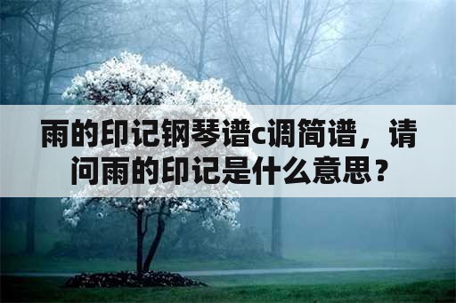 雨的印记钢琴谱c调简谱，请问雨的印记是什么意思？