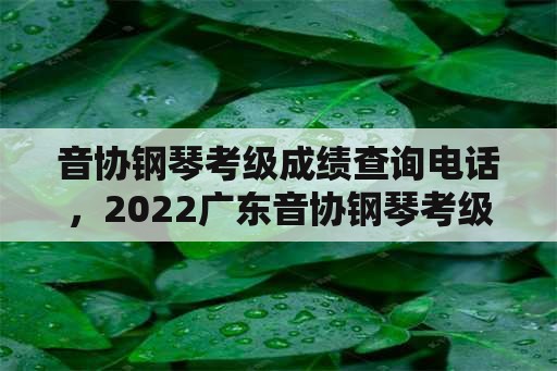 音协钢琴考级成绩查询电话，2022广东音协钢琴考级成绩查询时间？