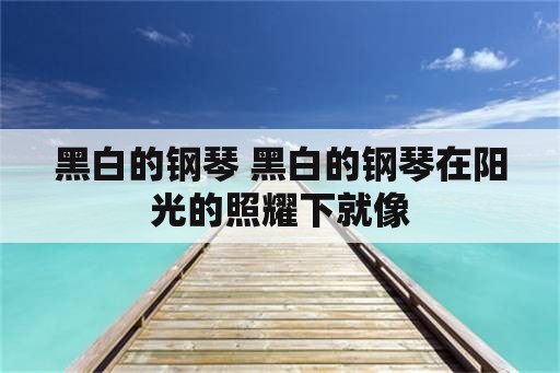 黑白的钢琴 黑白的钢琴在阳光的照耀下就像