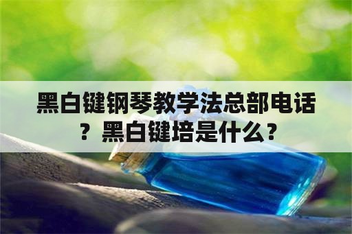 黑白键钢琴教学法总部电话？黑白键培是什么？