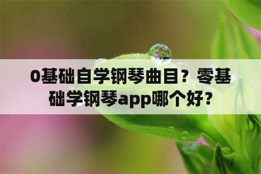 0基础自学钢琴曲目？零基础学钢琴app哪个好？