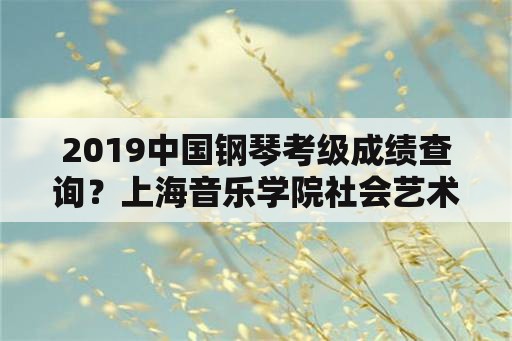 2019中国钢琴考级成绩查询？上海音乐学院社会艺术考级证书查询？