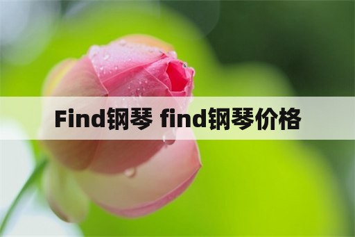 Find钢琴 find钢琴价格