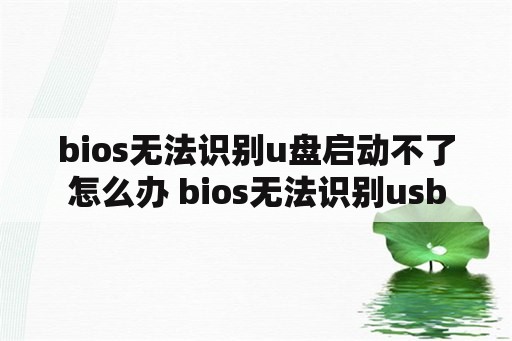 bios无法识别u盘启动不了怎么办 bios无法识别usb