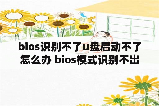 bios识别不了u盘启动不了怎么办 bios模式识别不出u盘