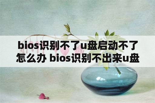 bios识别不了u盘启动不了怎么办 bios识别不出来u盘