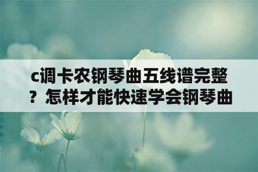 c调卡农钢琴曲五线谱完整？怎样才能快速学会钢琴曲卡农？